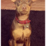 Rex
